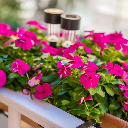 Bed and Breakfast Per Duomo 4*